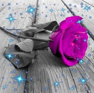 Meet your Posher, Lety